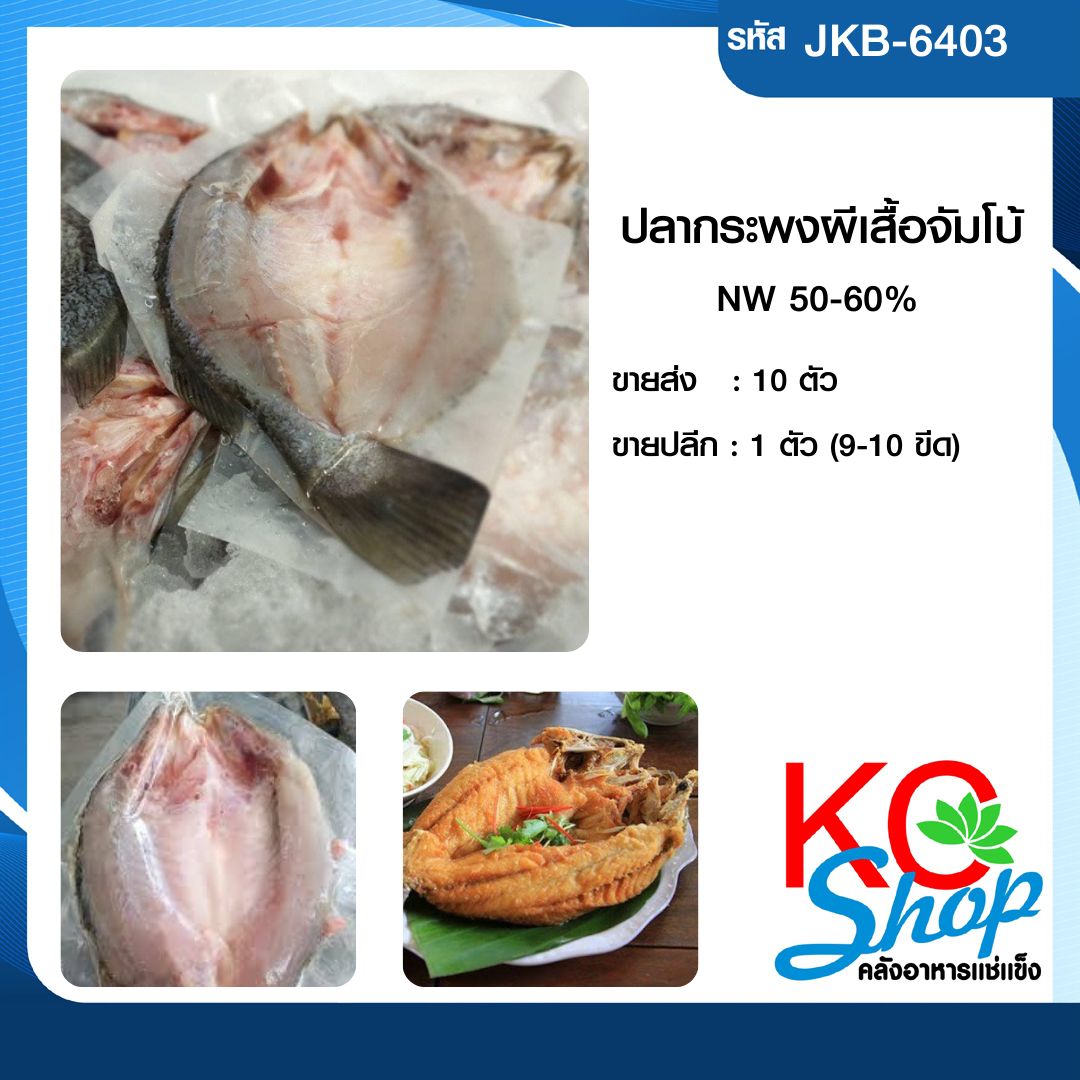 ปลากะพงผีเสื้อจัมโบ้
