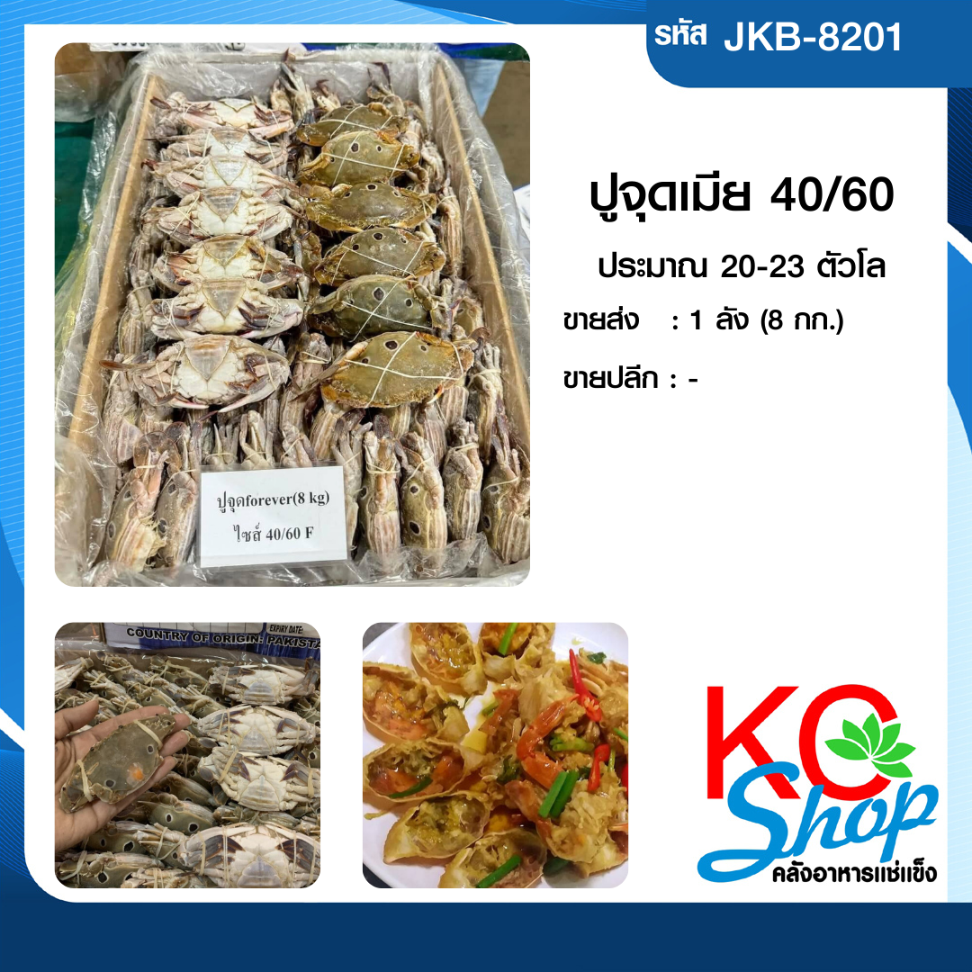 ปูจุดเมีย40/60
