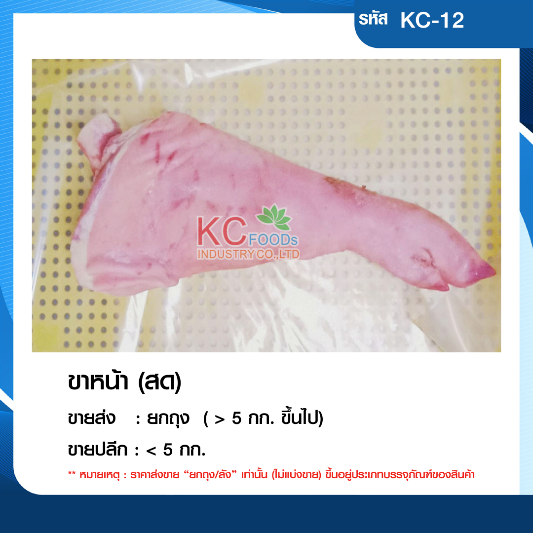 ขาหน้า
