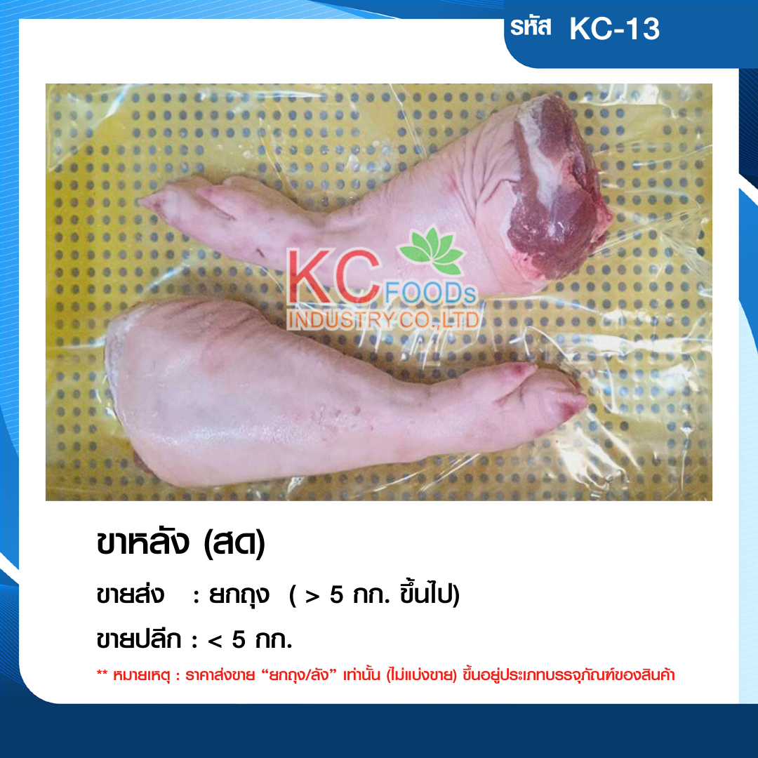 ขาหลัง