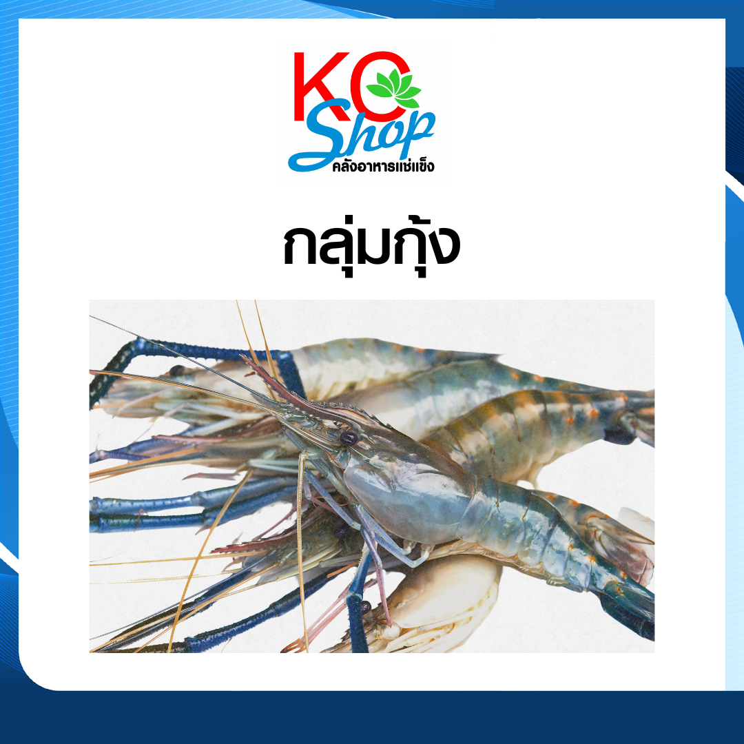 กุ้ง