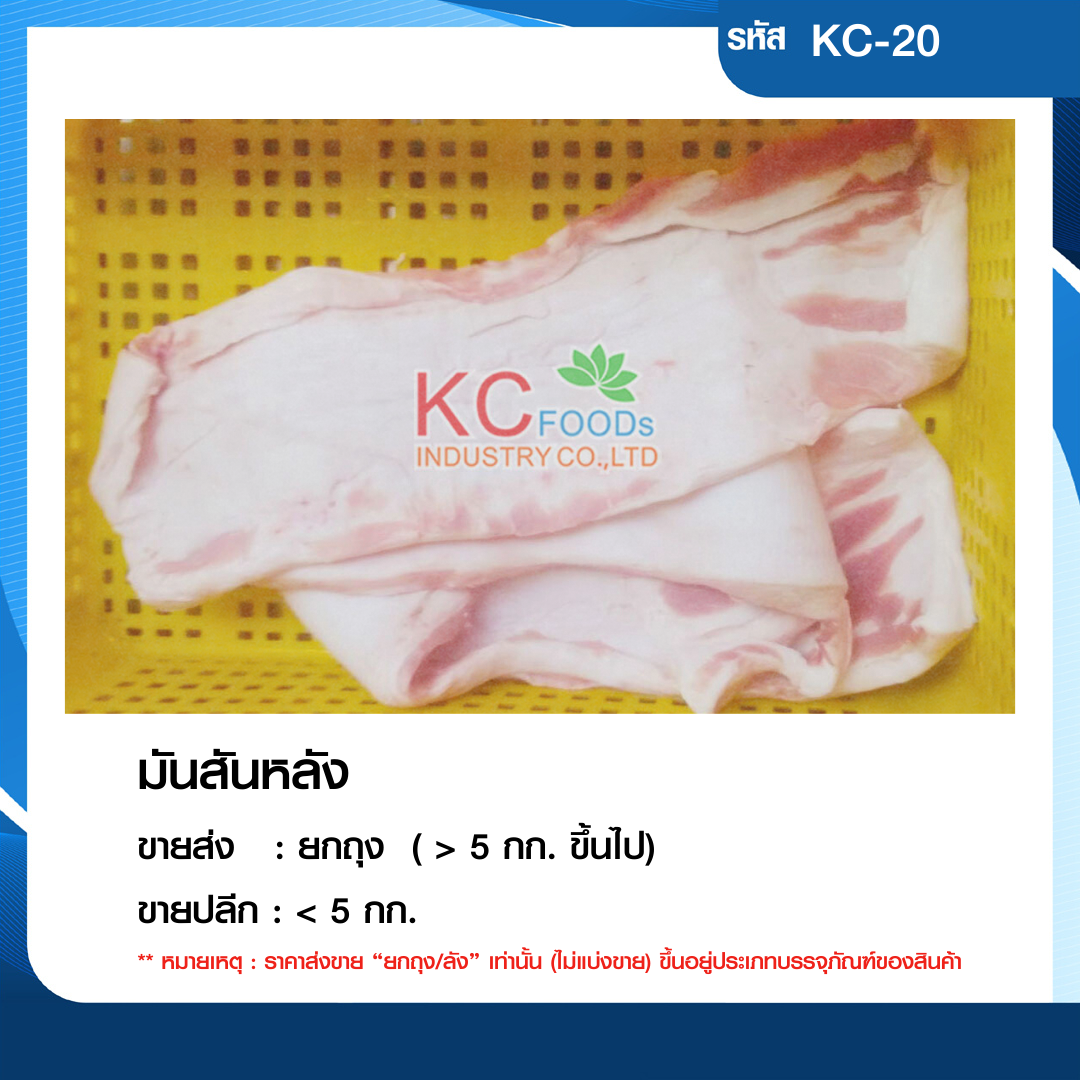 มันสันหลัง
