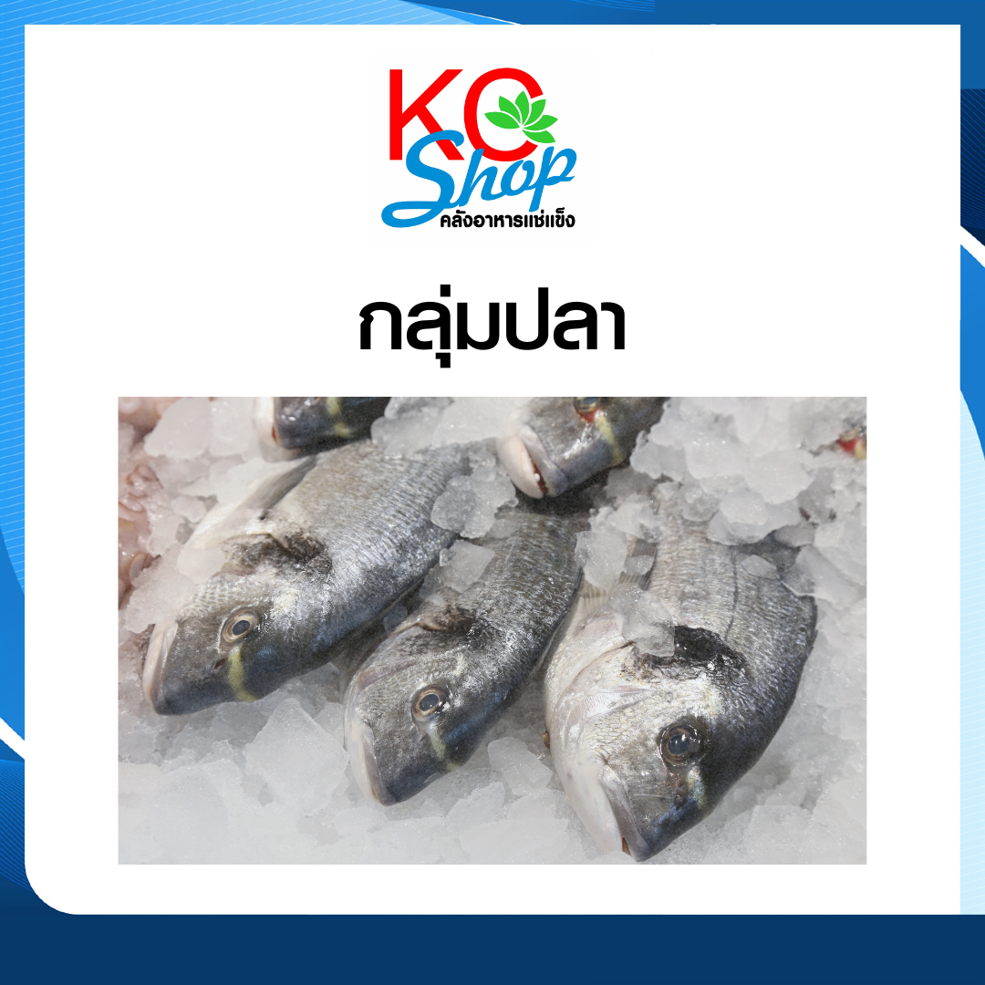 ปลา