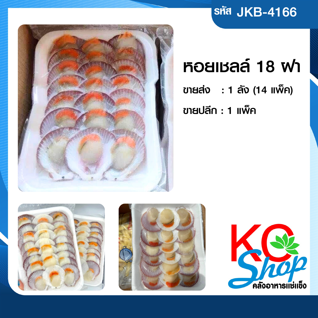 หอยเชลล์18ฝา