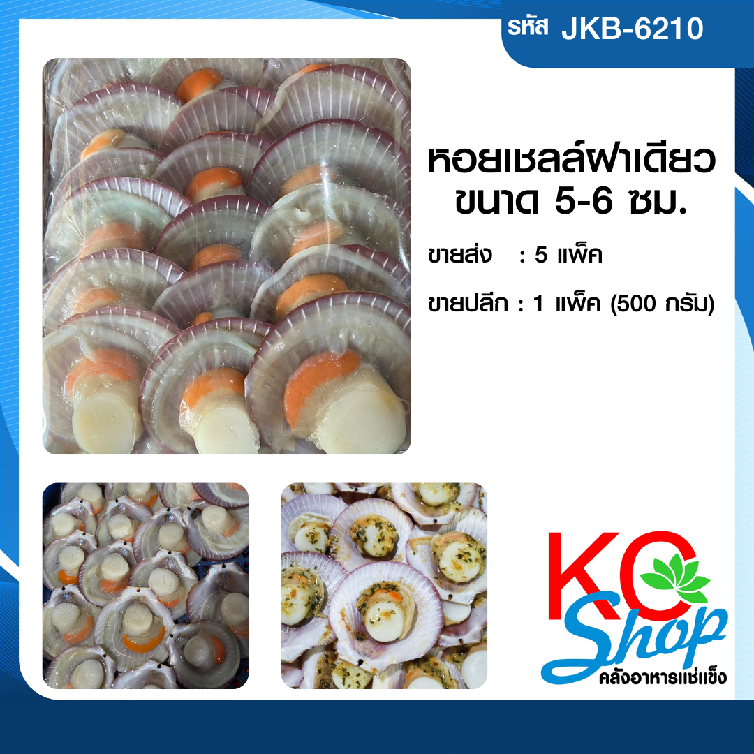เนื้อหอยเชลล์ฝาเดียว