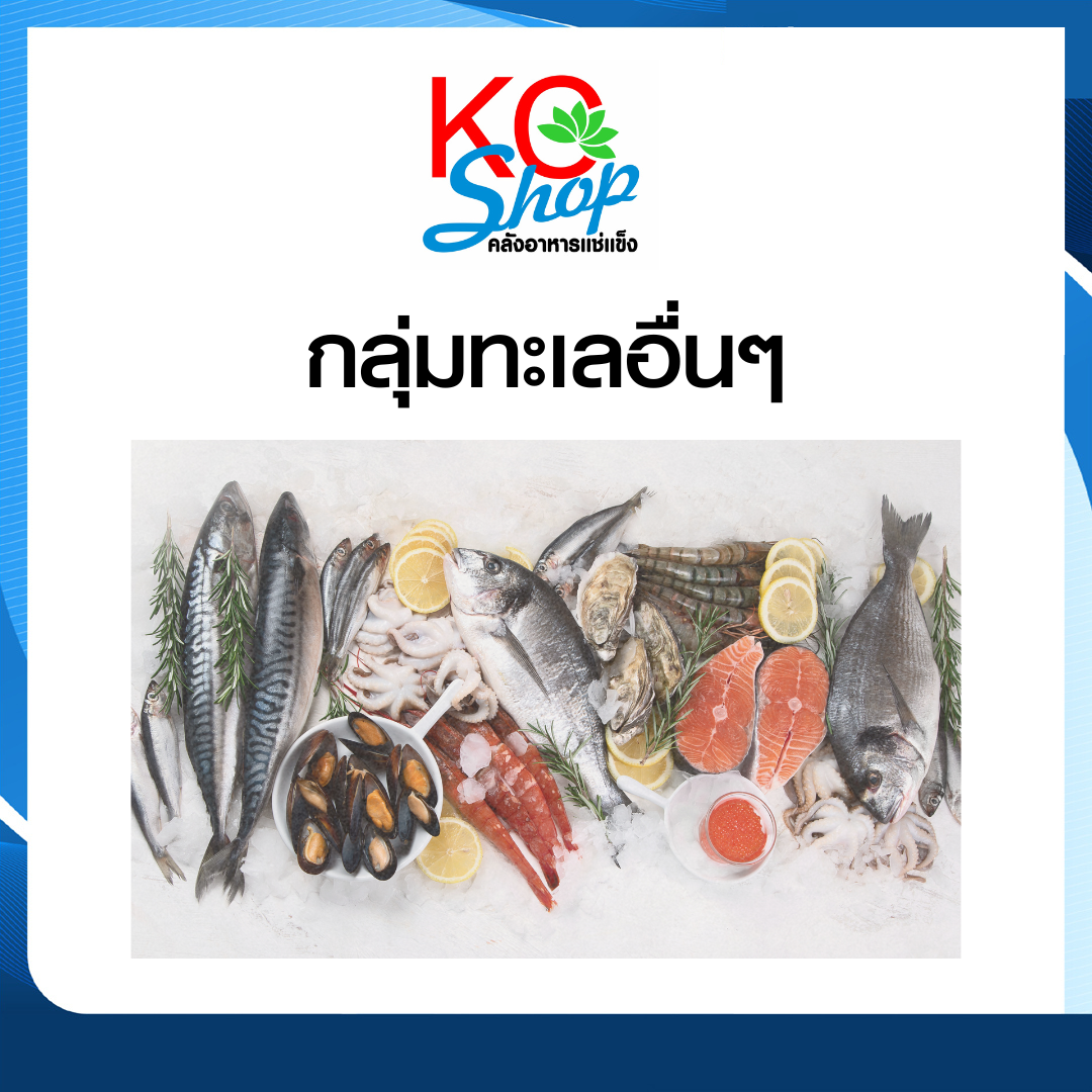 ทะเลอื่นๆ