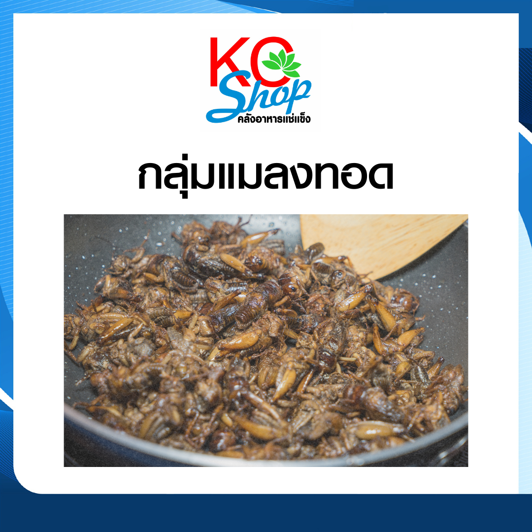 แมลงทอด